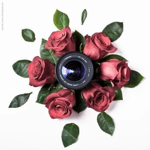thumbnail for publication: What Do You See? Healthy Dating That Leads to Healthy Marriage